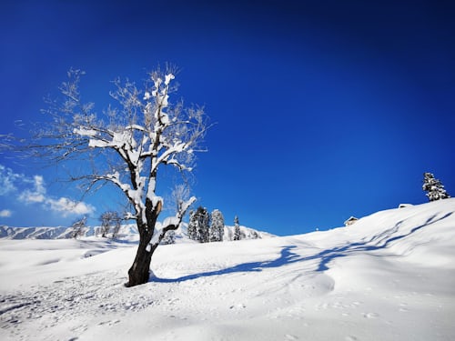 photo-1646202608578-2e842e154740